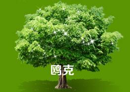 陜西輕質(zhì)隔墻板